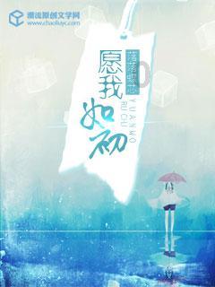 陕西表彰先进集体和个人
