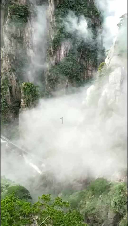 拯救者